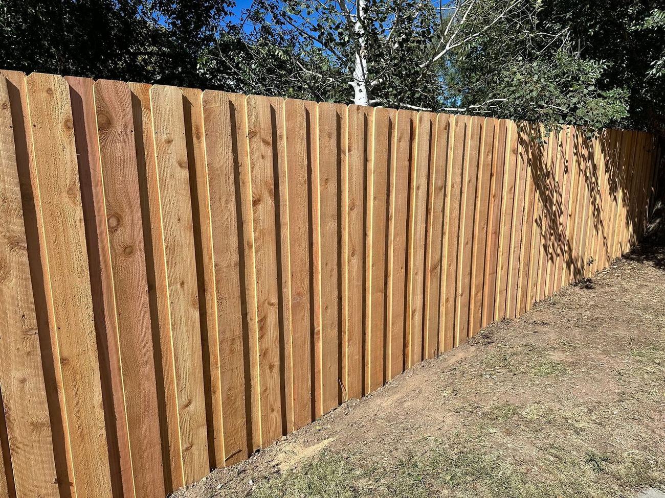 Fresh dog-ear cedar privacy fence on a Front Range property